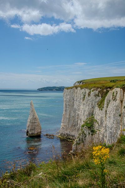 Chalk cliffs at Birling Gap, Sussex by Jan Fritz