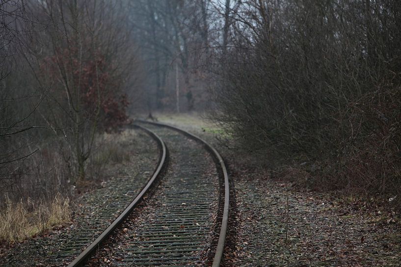 Der Weg zum ? von Herman Peters