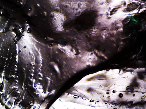 Haribo-Bären unter dem Mikroskop