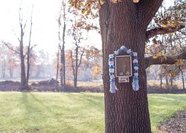 Merenthout sur Pieter van der Zweep