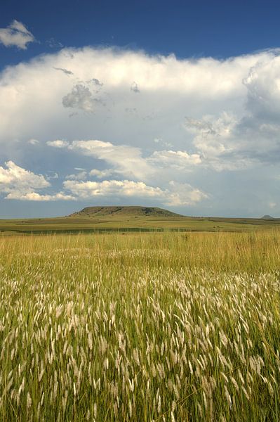 KZN South Africa Landscape by Richard Wareham