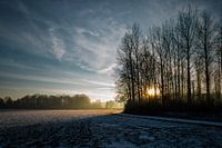 Sunrise