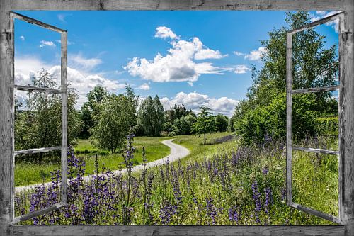 Window view -floodplain by Christine Nöhmeier