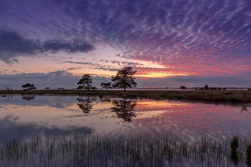 Landschaft bei Sonnenuntergang