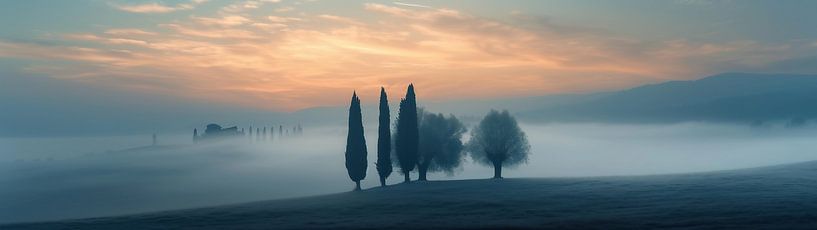 Sommermorgen in der Toskana von fernlichtsicht