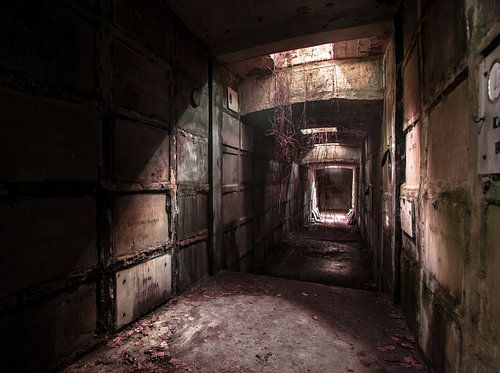 Crypt by Olivier Photography