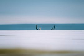 Cold Horizons by Alexander Aboud