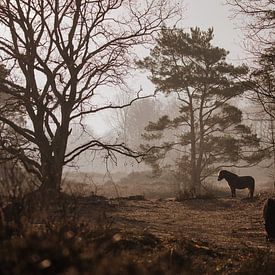 Landschap met paarden van Fardo Dopstra