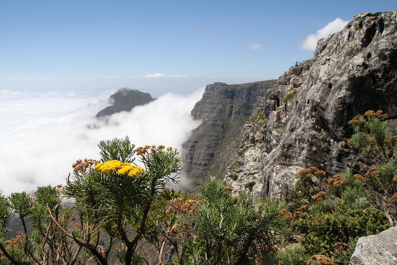 Tafelkleed van Tafelberg Kaapstad par Jan Roodzand