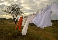 Clothesline in the dunes