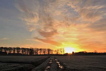 Lever du soleil dans les polders sur Esther Leijten-Kupers