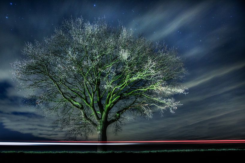 Verlicht.  by Paul Roelofs Fotografie