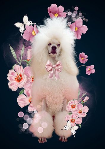 Poedel met roze bloemen