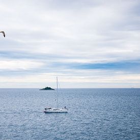 Die Küste Kroatiens mit einem Boot, einer Möwe und einer Insel von Déwy de Wit