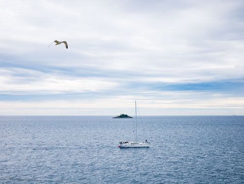 De kust van kroatie met een boot, zeemeeuw en eiland