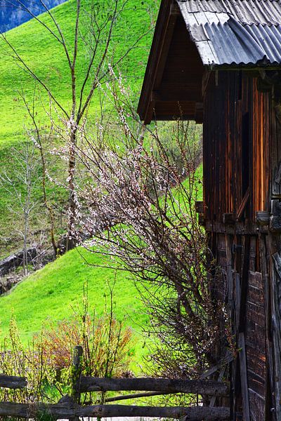 Frühling im Villnößtal von Gisela Scheffbuch