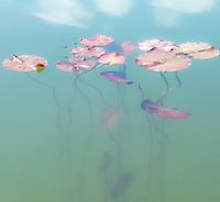 Illusion von Himmelsboden und Unterwasserwelt