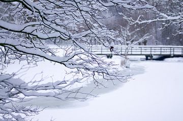 Winter in Leiderdorp van Ton van Leeuwen