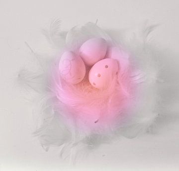 Roze eieren in een zacht nestje van veren. van J.a Dijkstra