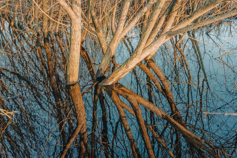 Naturschutzgebiet Oeffelt von Marc van den Elzen