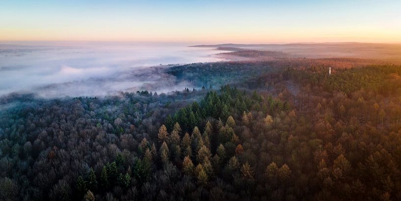 Ein Meer von Nebel von Luc van der Krabben