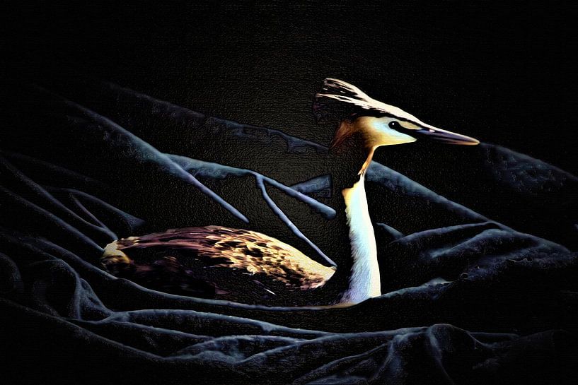 Low key portrait grebe on black canvas by Maud De Vries