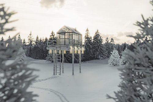 Gezellige glazen hut in het besneeuwde bos