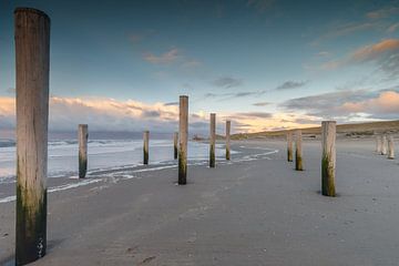 Palm village Petten during sunset.