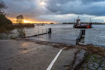 Ferry the Biesbosch Kop van t Land by Pixel Meeting Point