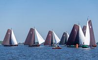Skûtsje sailing Friesland