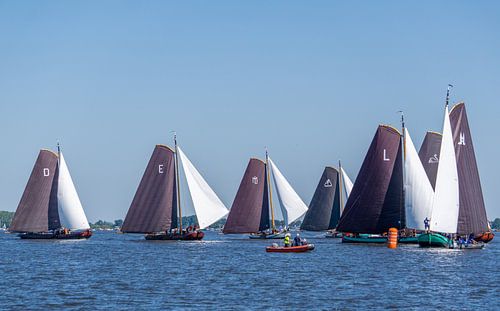 Skûtsje segeln Friesland