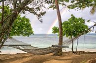 Hangmat onder de regenboog van Jasper den Boer thumbnail