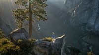 Yosemite views van Remco van Adrichem thumbnail
