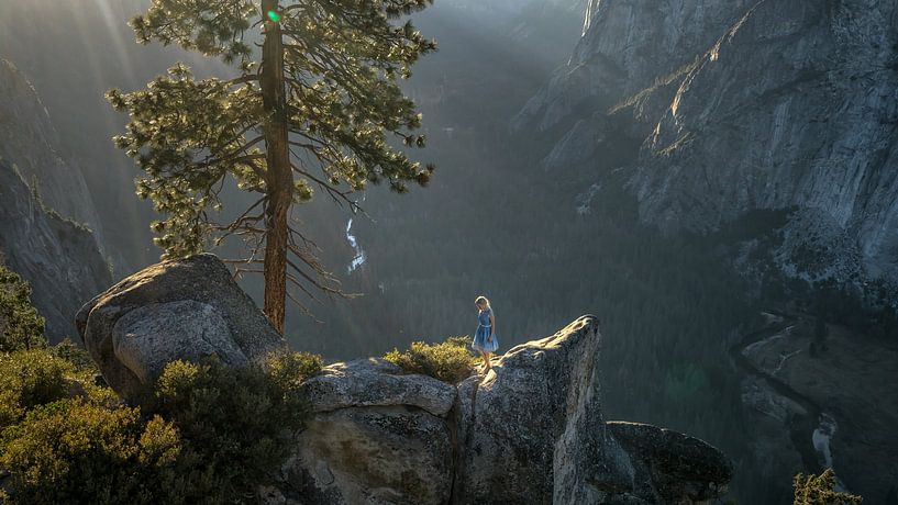 Yosemite views van Remco van Adrichem