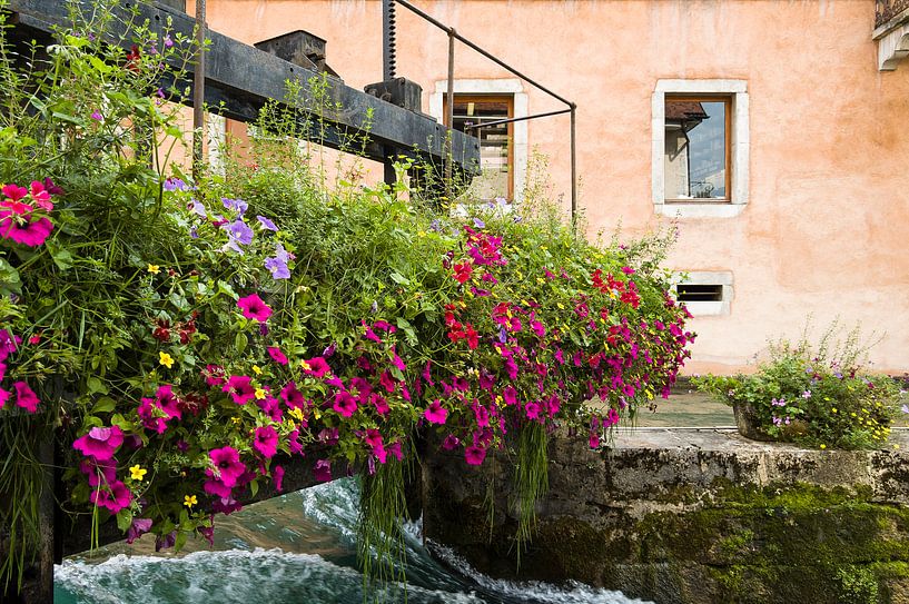 Flowers by Hegemann fotografie