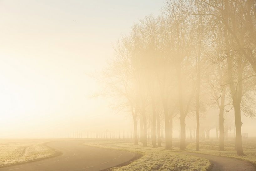 Nebliger Morgen von Peter Kuipers