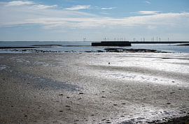 Am Rande der Oosterschelde von Werner Lerooy