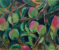 Complementaire appels aan de boom. 50x60cm.