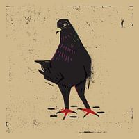 Pigeon