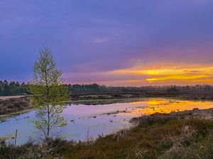 couleur sur snippephotography