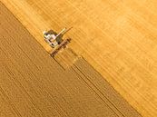 Combine die tarwe oogst in de zomer, van bovenaf gezien van Sjoerd van der Wal Fotografie thumbnail