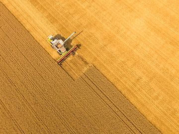 Combine harverster harvesting wheat during summer seen from above by Sjoerd van der Wal