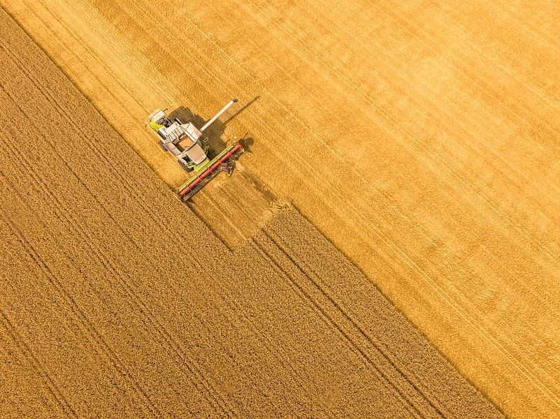Combine die tarwe oogst in de zomer, van bovenaf gezien van Sjoerd van der Wal Fotografie