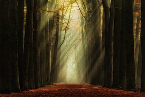 A Touch of Magic von Martin Podt