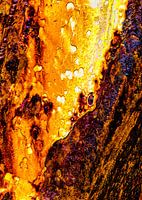 Rust