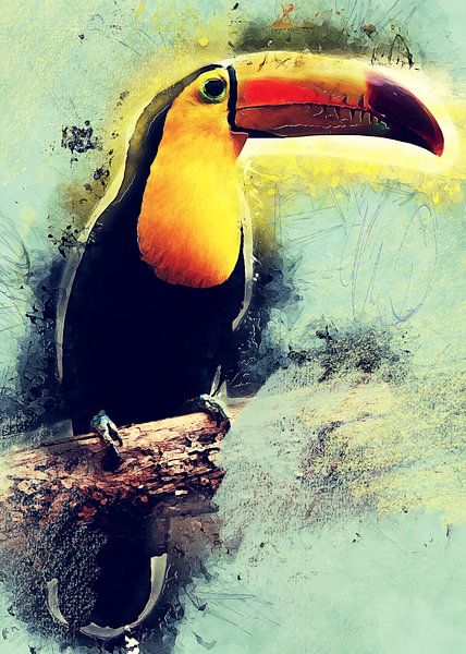 Toekan vogel aquarel kunst #toucan van JBJart Justyna Jaszke