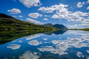 Reflets de la nature norvégienne