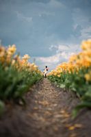 Tulpen