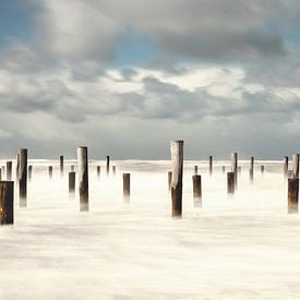 Plage Petten sur Dick van der Wilt