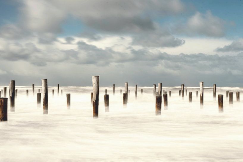 Strand Petten von Dick van der Wilt